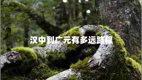 漢中到廣元有多遠(yuǎn)路程