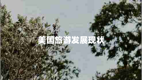 美國(guó)旅游發(fā)展現(xiàn)狀