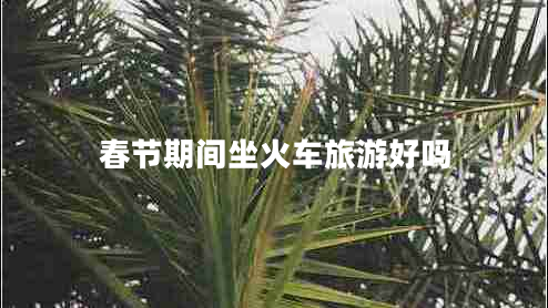 春節(jié)期間坐火車旅游好嗎 春節(jié)期間坐火車旅游好嗎