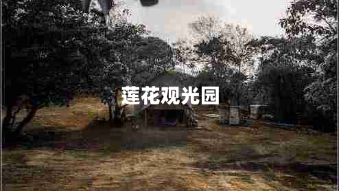 蓮花觀光園 蓮花觀光園