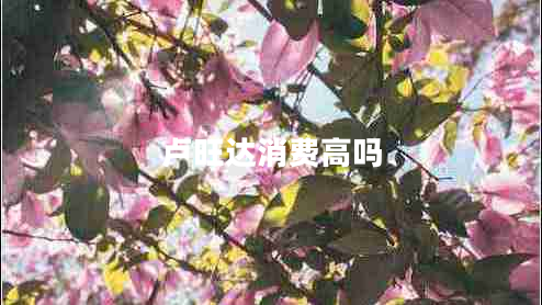 盧旺達(dá)消費(fèi)高嗎