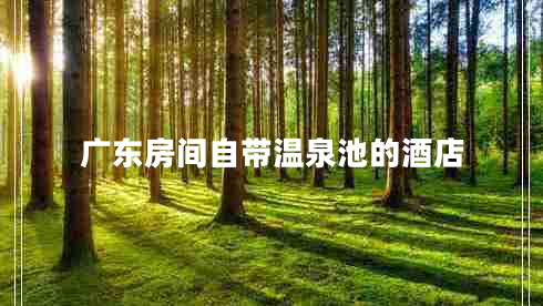 廣東房間自帶溫泉池的酒店 廣東房間自帶溫泉池的酒店