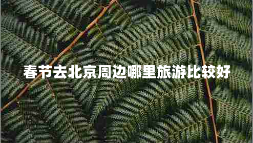 春節(jié)去北京周邊哪里旅游比較好 春節(jié)去北京周邊哪里旅游比較好