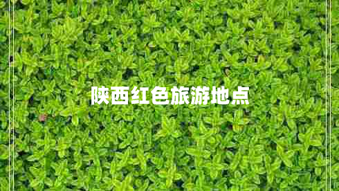 陜西紅色旅游地點(diǎn) 陜西紅色旅游地點(diǎn)