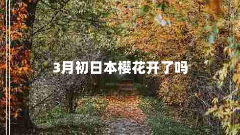 3月初日本櫻花開(kāi)了嗎