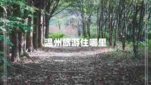 溫州旅游住哪里 溫州旅游住哪里