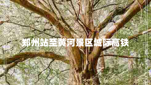 鄭州站至黃河景區(qū)城際高鐵 鄭州站至黃河景區(qū)城際高鐵