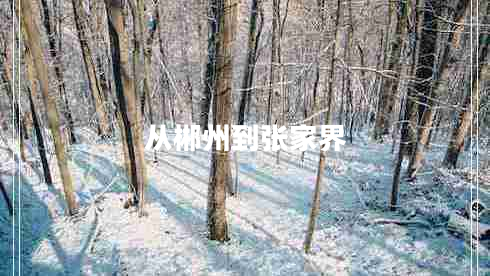 從郴州到張家界