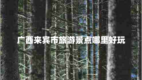 廣西來賓市旅游景點哪里好玩