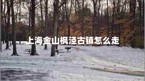 上海金山楓涇古鎮(zhèn)怎么走 上海金山楓涇古鎮(zhèn)怎么走
