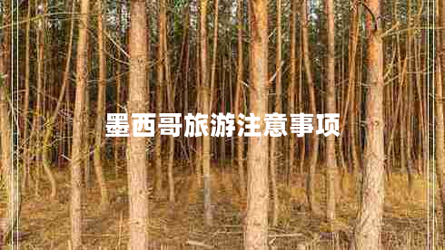 墨西哥旅游注意事項(xiàng)