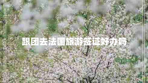跟團(tuán)去法國旅游簽證好辦嗎 跟團(tuán)去法國旅游簽證好辦嗎
