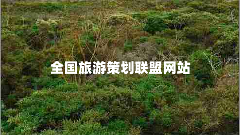 全國旅游策劃聯(lián)盟網(wǎng)站 全國旅游策劃聯(lián)盟網(wǎng)站