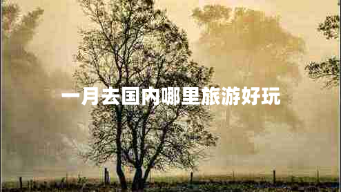 一月去國內(nèi)哪里旅游好玩