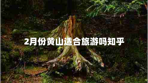 2月份黃山適合旅游嗎知乎 2月份黃山適合旅游嗎知乎