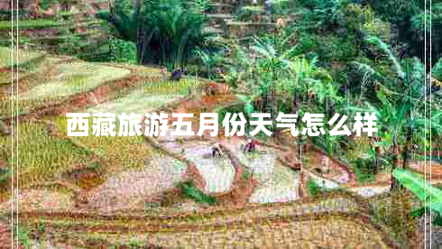 西藏旅游五月份天氣怎么樣 西藏旅游五月份天氣怎么樣