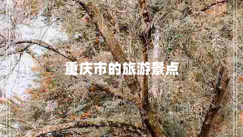 重慶市的旅游景點(diǎn)