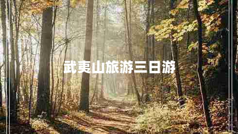 武夷山旅游三日游 武夷山旅游三日游