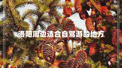 洛陽(yáng)周邊適合自駕游的地方