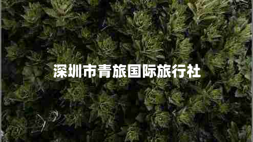 深圳市青旅國(guó)際旅行社 深圳市青旅國(guó)際旅行社