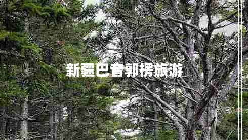 新疆巴音郭楞旅游 新疆巴音郭楞旅游