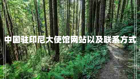 中國駐印尼大使館網(wǎng)站以及聯(lián)系方式 中國駐印尼大使館網(wǎng)站以及聯(lián)系方式