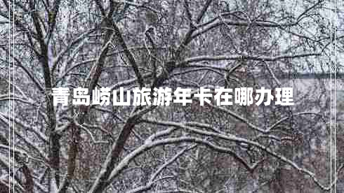 青島嶗山旅游年卡在哪辦理
