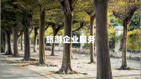 旅游企業(yè)服務(wù) 旅游企業(yè)服務(wù)