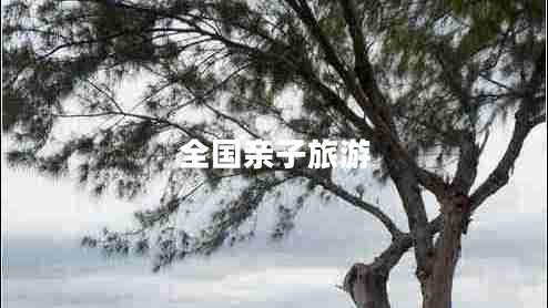 全國(guó)親子旅游 全國(guó)親子旅游