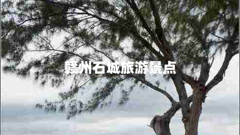 贛州石城旅游景點 贛州石城旅游景點