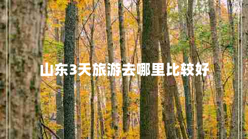山東3天旅游去哪里比較好 山東3天旅游去哪里比較好