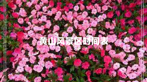 黃山風(fēng)景區(qū)時(shí)間表 黃山風(fēng)景區(qū)時(shí)間表