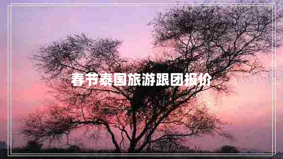 春節(jié)泰國旅游跟團(tuán)報(bào)價(jià) 春節(jié)泰國旅游跟團(tuán)報(bào)價(jià)