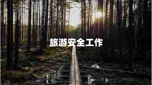 旅游安全工作 旅游安全工作