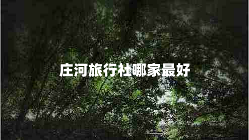 莊河旅行社哪家最好 莊河旅行社哪家最好