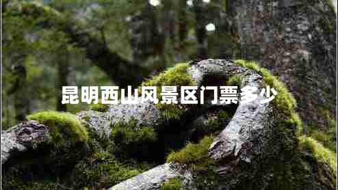 昆明西山風(fēng)景區(qū)門票多少 昆明西山風(fēng)景區(qū)門票多少