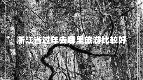 浙江省過年去哪里旅游比較好 浙江省過年去哪里旅游比較好
