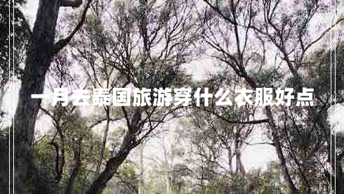 一月去泰國旅游穿什么衣服好點 一月去泰國旅游穿什么衣服好點