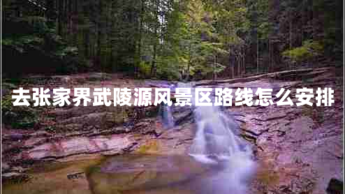 去張家界武陵源風(fēng)景區(qū)路線怎么安排