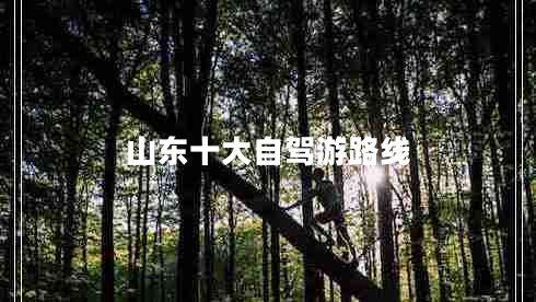 山東十大自駕游路線 山東十大自駕游路線