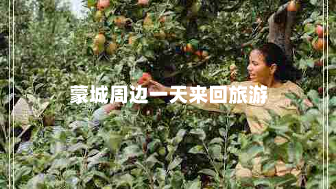 蒙城周邊一天來回旅游