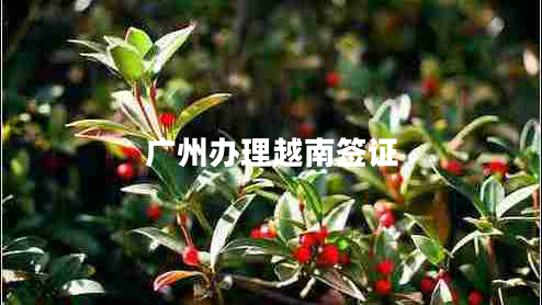 廣州辦理越南簽證 廣州辦理越南簽證