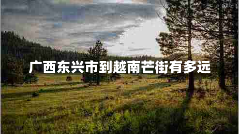 廣西東興市到越南芒街有多遠(yuǎn) 廣西東興市到越南芒街有多遠(yuǎn)