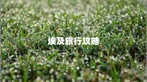 埃及旅行攻略 埃及旅行攻略