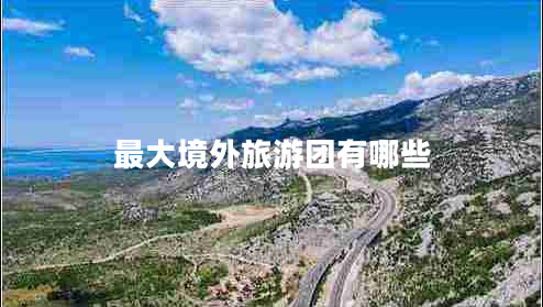 最大境外旅游團有哪些