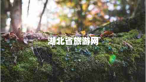 湖北省旅游網(wǎng)