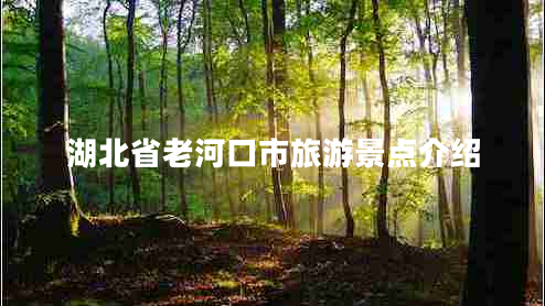 湖北省老河口市旅游景點(diǎn)介紹 湖北省老河口市旅游景點(diǎn)介紹