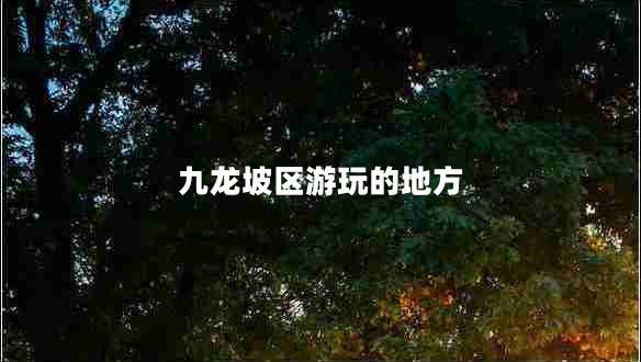 九龍坡區(qū)游玩的地方 九龍坡區(qū)游玩的地方