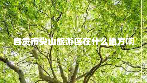 自貢市尖山旅游區(qū)在什么地方啊 自貢市尖山旅游區(qū)在什么地方啊