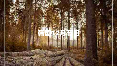 韓國12月節(jié)日 韓國12月節(jié)日
